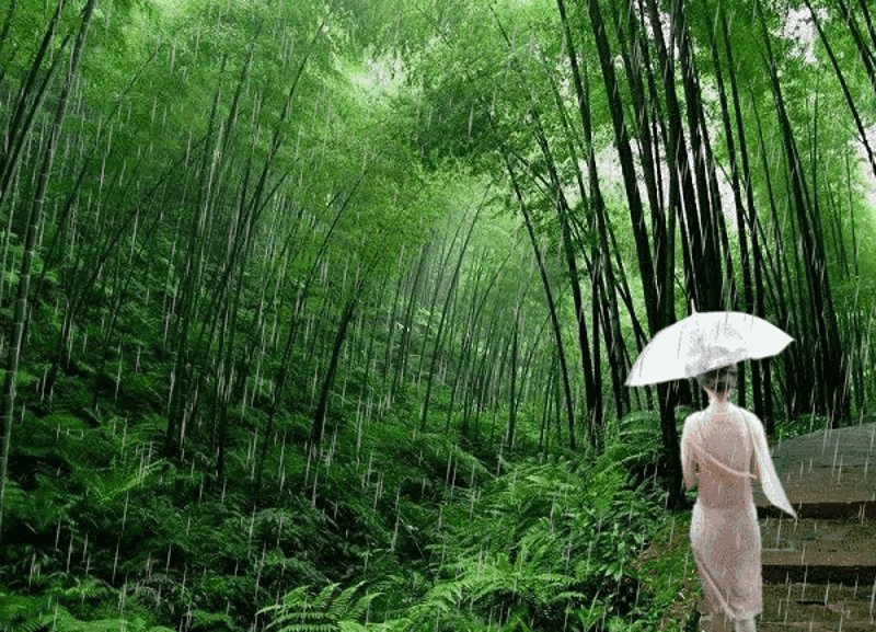 阅读好文，莫入以下误区