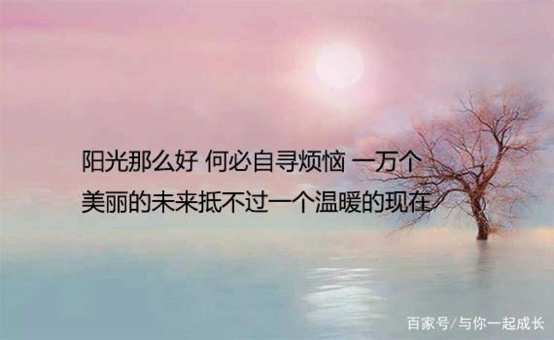 深度美文：情感世界的慰藉与启迪