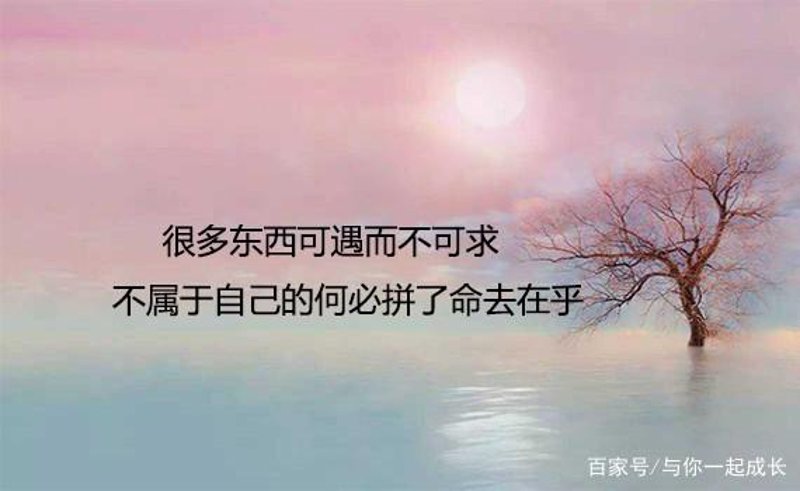 朋友圈好文